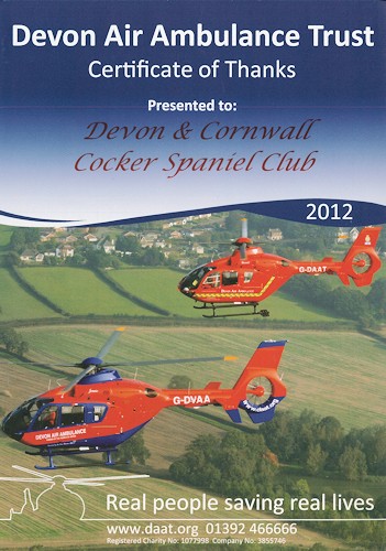 Air Ambulance Certificate of Thanks