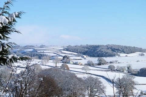 Snowy Scene January 2013