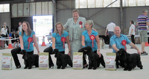 Team Stakes win at Liskeard