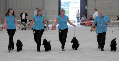 On the move in the Team Stakes class at Liskeard