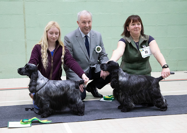 BCC & RBCC Championship Show 2018