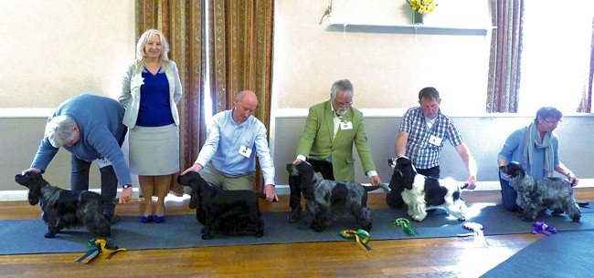 BIS Line up April 2015