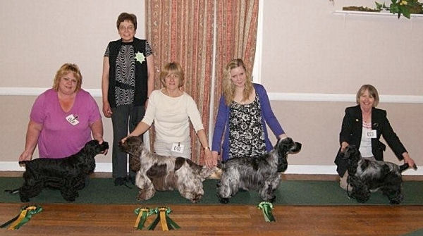 Best In Show line up May 2010