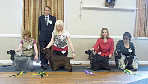 Best in Show May 2011