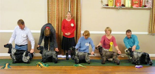 Best In Show Line Up November 2009