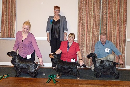 Best In Show Nov 2011