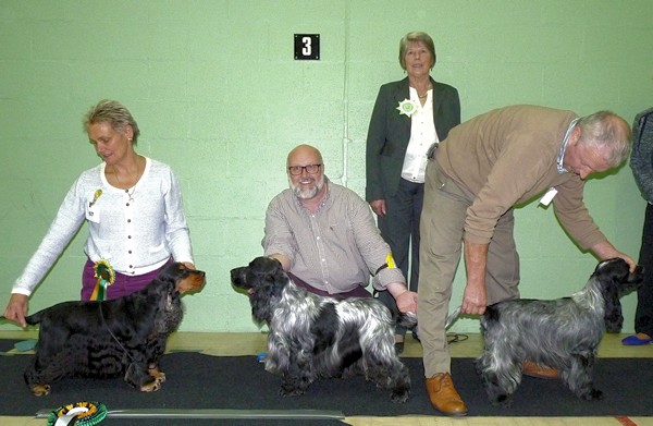 BIS Ch Show Nov 2014