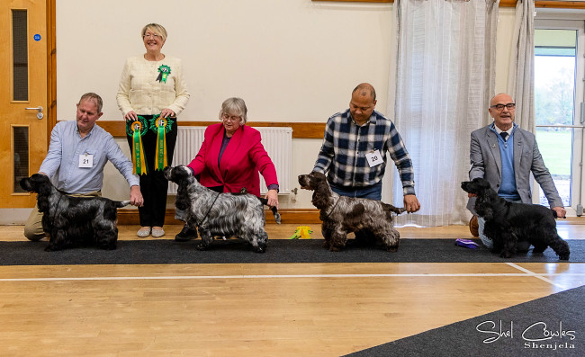 BIS Line Up November 2025