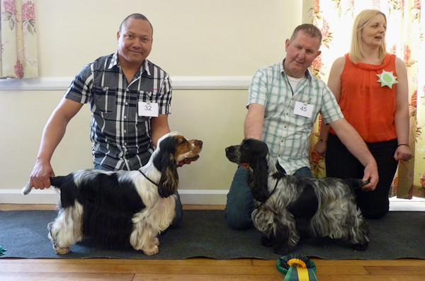 BIS & RBIS April 2016