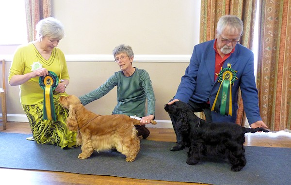 BIS and RBIS May 2014