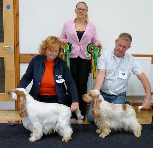 BIS & RBIS November 2021