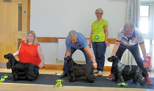 BIS Open Show May 2025