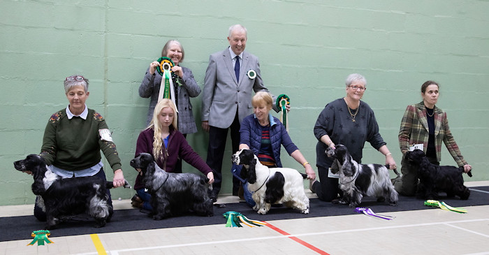 Best in Show line up Championship Show 2018