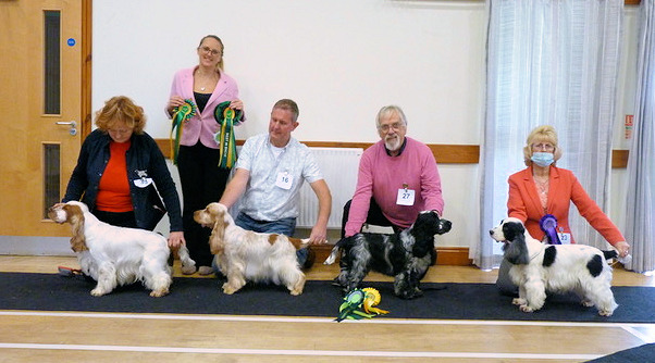 BIS Line Up November 2021