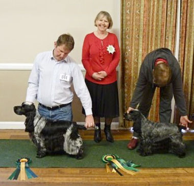 BIS & RBIS November 2009