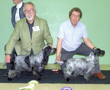 BMPIS and BVIS November 2014