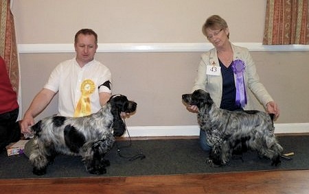 BMPIS and BVIS May 2012