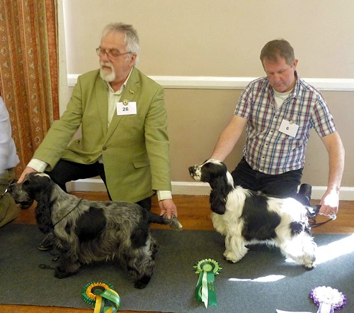 BOS & BPIS April 2015