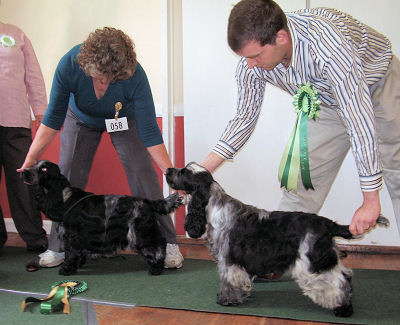 BOS and BPIS May 2009