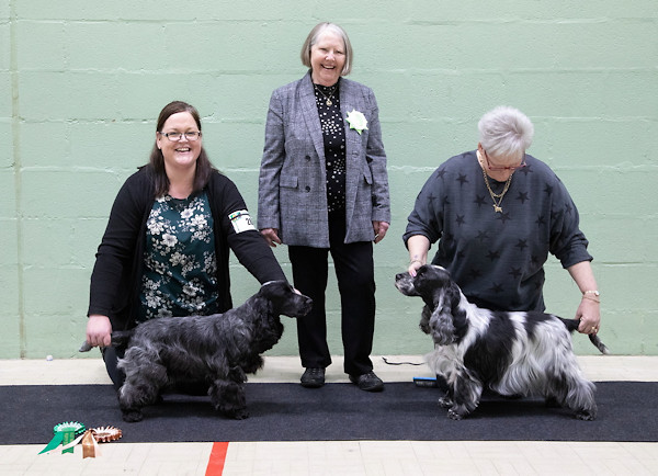 BPD & BVD Championship Show 2018