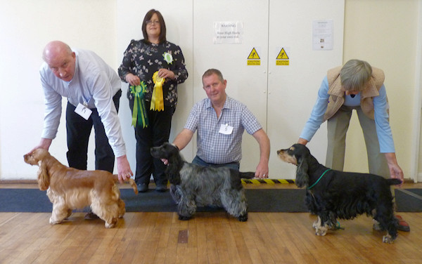 BPIS & BVIS May 2018