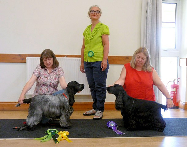 BPIS & BVIS May 2025