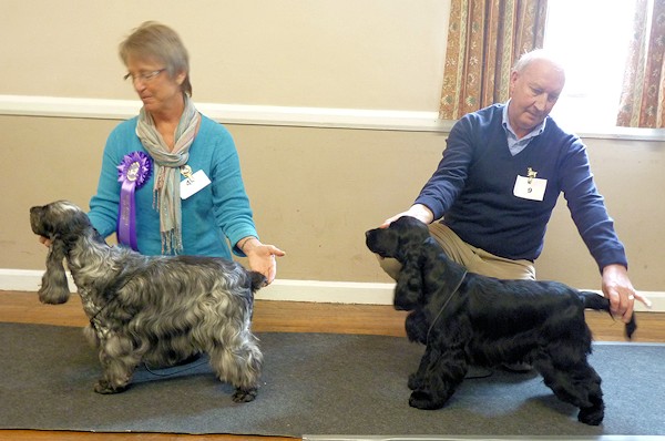 BVIS and BPIS May 14