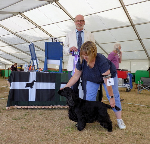 BVIS Ch Show 2026