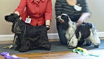 BVIS and BPIS May 2011