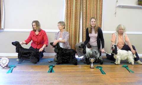 Cocker of The Year 2010-2011