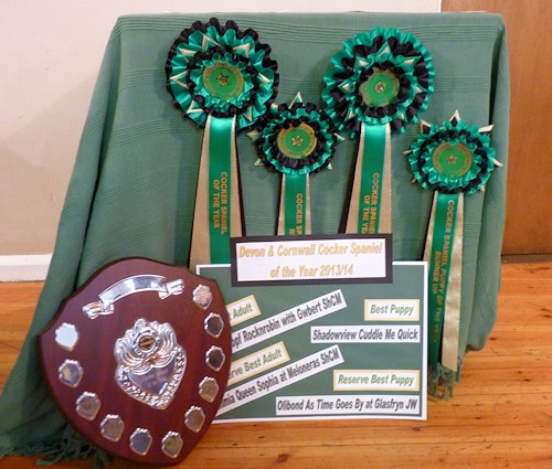 Cocker of The Year Awards 2013-2014