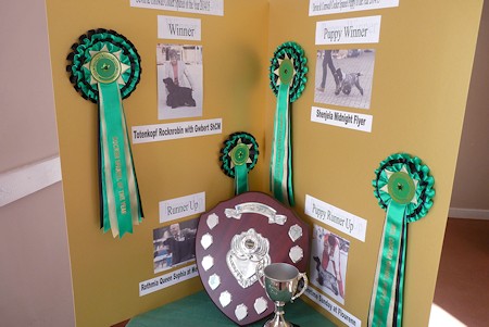 Cocker of The Year awards 2014