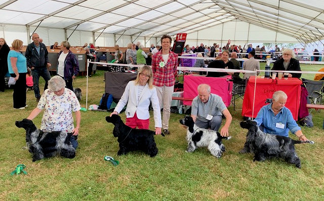 Dog winners Championship Show 2021