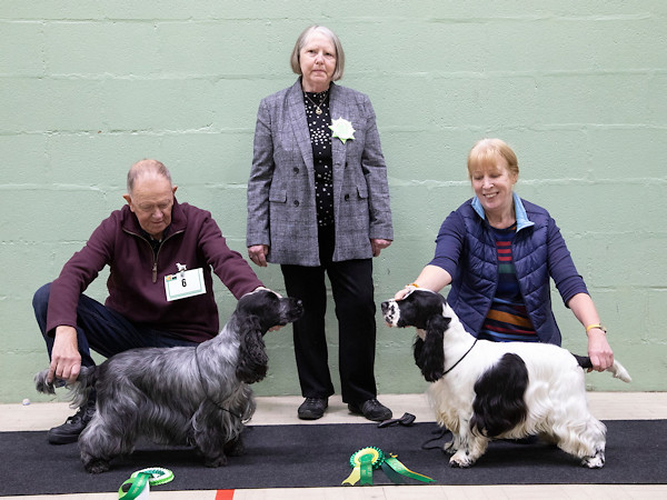 DCC & RDCC November 2018