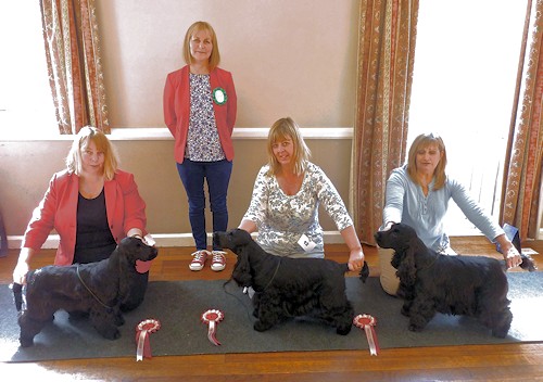 Special Awards April 2015