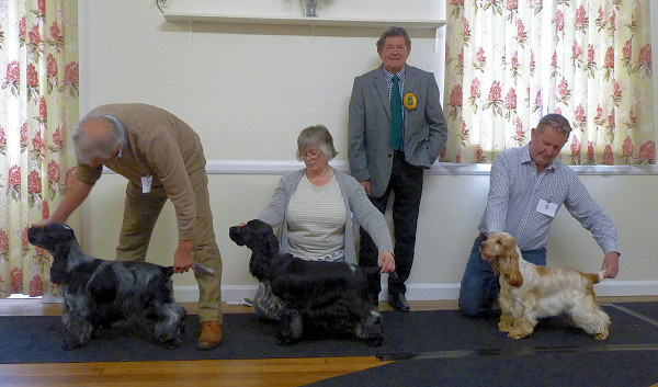 Special Awards April 2017