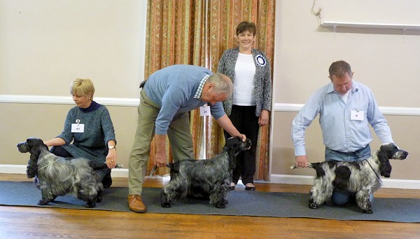 Special Awards May 2014