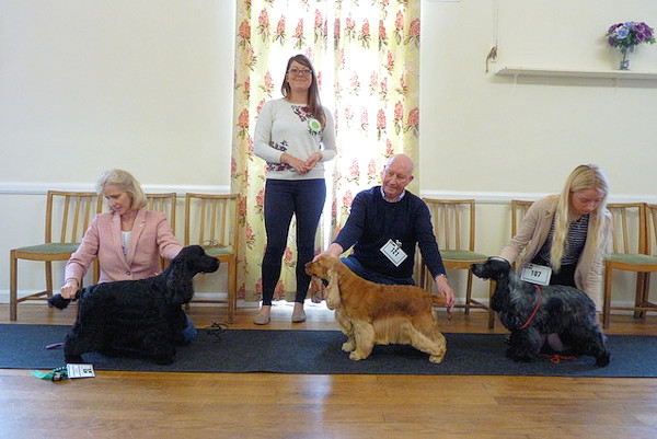 Special Awards May 2019