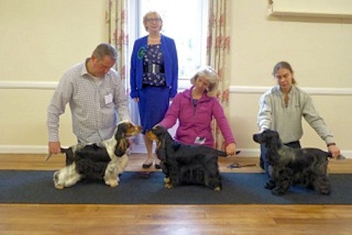 Special Awards Nov 15