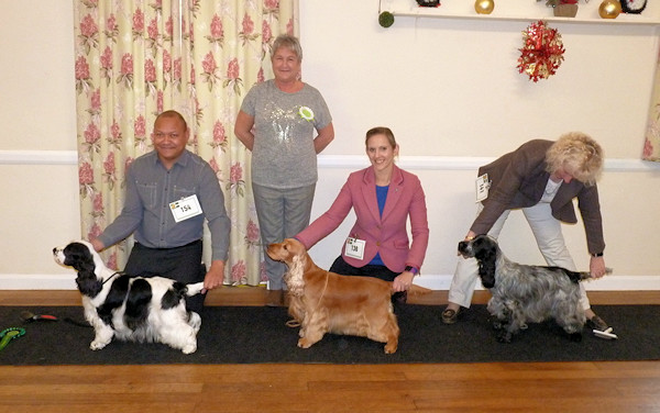 Special Awards November 2019