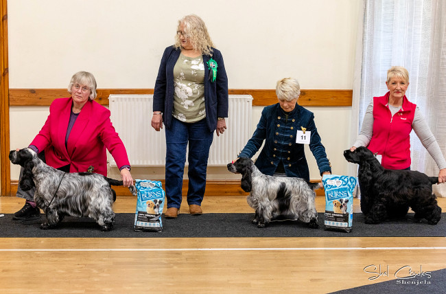 Special Awards November 2025